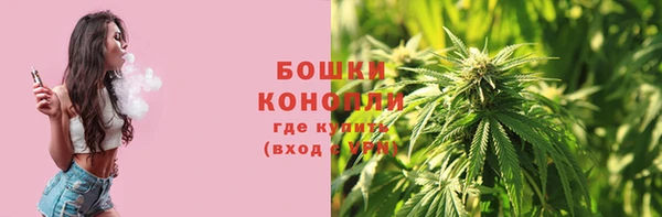 МДПВ Вяземский