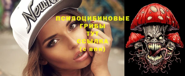 СК Вязьма