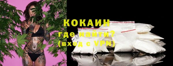 СК Вязьма