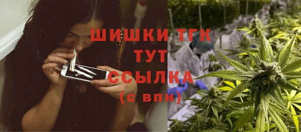 МДПВ Вяземский