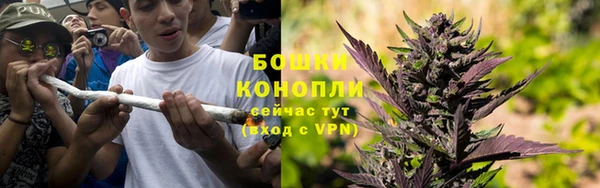МДПВ Вяземский