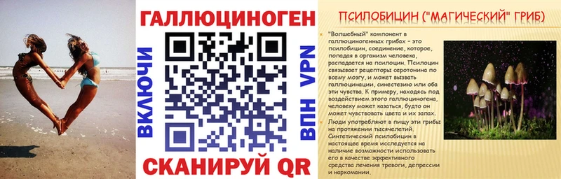 Купить где  Кизляр  Псилоцибиновые грибы MAGIC MUSHROOMS 